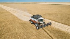 В Удмуртии к 2 сентября собрали 505,8 тыс. т зерна с 67% площадей