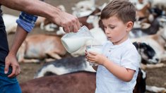 В сельхозорганизациях Нижегородской области производство молока в первом квартале выросло на 2,3%