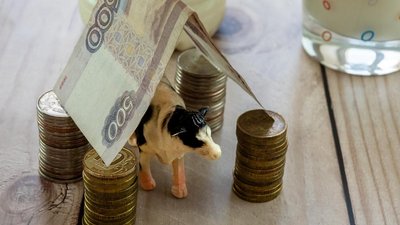 АПК Чувашии активно развивается благодаря инвестициям