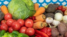 Картофель в Республике Алтай за месяц подешевел на 32% с поступлением нового урожая