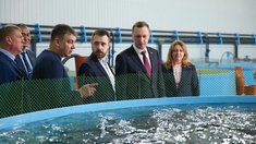 Саратовская область наращивает объемы производства форели