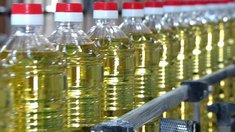 Липецкая область наращивает экспорт подсолнечного масла в Индию