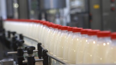 Объём реализации молока в сельхозорганизациях вырос на 2%