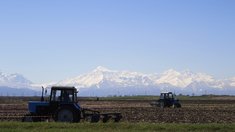 В Челябинской области в 2026 году яровыми культурами планируется засеять 1,8 млн гектаров