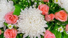 Рынок цветов в России в 2026 году может вырасти на 11% — РСХБ