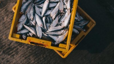 С начала года Приморье экспортировало продукцию АПК почти на 2 млрд долл. США