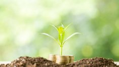 В 2025 году Смоленской области направили 1,3 млрд руб. на развитие АПК и сельских территорий