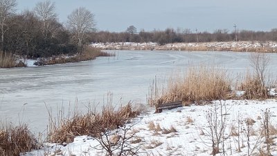 В ЛНР проведен мониторинг водоемов на выявлению высокопатогенного гриппа птиц