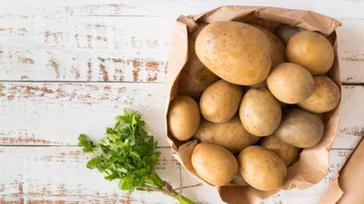 Урожай картофеля в России ожидается выше прошлогоднего