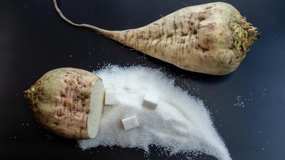 Аграрии Мордовии собрали почти 860 тысяч тонн сахарной свеклы с 83,8% площадей