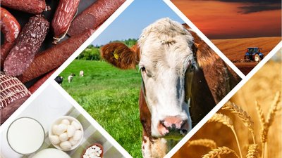 В Алтайском крае в 2023 году производство пищевых продуктов выросло на 9,1%
