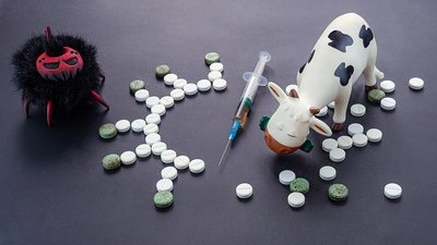 В Волгоградской области проводится профилактика опасных заболеваний животных