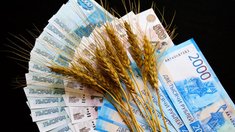 Объем размещений облигаций АПК РФ превысил 90 млрд руб.