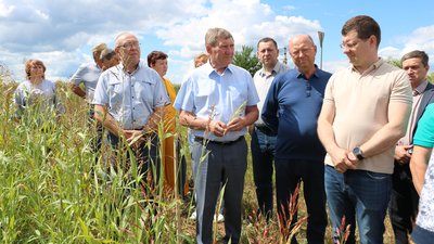 Строительство животноводческого комплекса на 625 голов началось в Нижегородской области при господдержке 