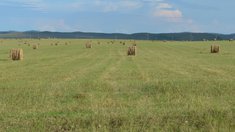Хозяйства 22 округов Забайкальского края вышли на заготовку кормов