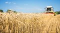 В Пензенской области собрано 2,47 млн тонн зерна при уборке 81,4% площадей