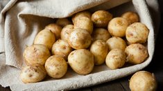 Более 90 млн рублей направят в Забайкалье на развитие сельской кооперации