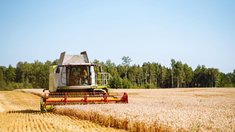 В Тамбовской области собрали 3 355,2 тыс. т зерна с 77% посевной площади