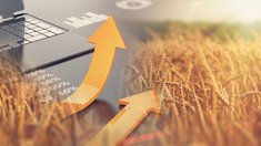 НТБ увеличила торги агропродукцией до 1,5 млн тонн и начала закупки зерна в госфонд