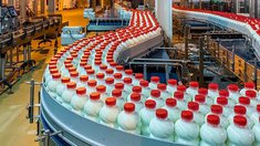 Липецкие сельхозорганизации увеличили производство молока на 7% за девять месяцев