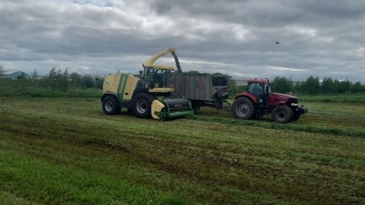 К заготовке сенажа приступили в 13 районах Башкортостана
