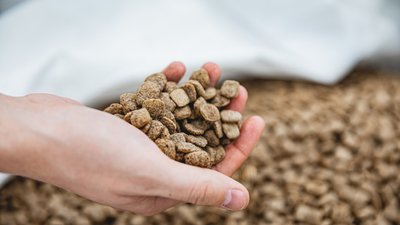 Производство кормов для домашних животных запущено в Липецкой области