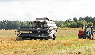 В 2023 году отрасль растениеводства Херсонской области достигла значительных результатов