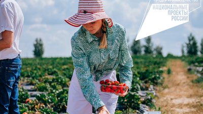 Минсельхоз Чувашии 27 августа начнёт принимать заявки на грант «Перспектива»