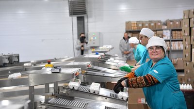 Птицефабрика в Саратовской области реализует крупный инвестпроект
