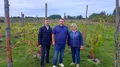 В Новгородской области планируется выращивать виноград