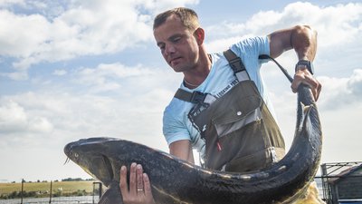 Кузбасские предприятия получили субсидии на ускоренное развитие товарного рыбоводства