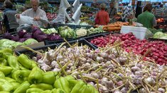 В Калужской области стоимость минимальной продуктовой корзины за месяц снизилась на 1,8% 