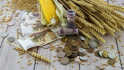 В 2022 году господдержка АПК и сел Курской области превысила 3,9 млрд руб.