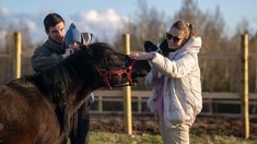Более 1,8 млн гостей посетили объекты сельского туризма, созданные при поддержке Минсельхоза