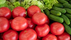 Обзор цен на сельхозпродукцию и продовольствие в Новосибирской области