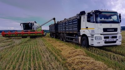 Аграриям Красноярского края возместят затраты на обновление машинно-тракторного парка 