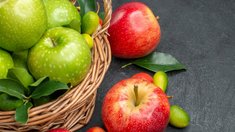 Урожай яблок в Краснодарском крае в 2024 году может превысить показатель 2023-го