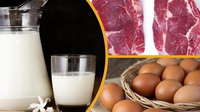 Россия и Иран готовятся к расширению торговли продукцией животноводства