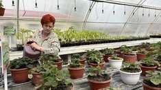 В Кемеровской области названы победительницы регионального этапа конкурса «Женщины в АПК»
