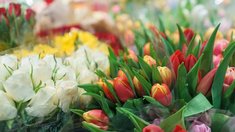 Производство цветов в Сибири выросло на 33% за пять лет — РСХБ