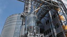 Саратовская область увеличивает мощности по переработке семян подсолнечника