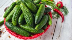 В Воронежской области огурцы за неделю подешевели на 7,3%