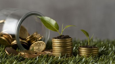 Получателям господдержки АПК в Новгородской области перечислено 597,1 млн руб.