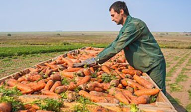 Министерство АПК Запорожской области проведет конкурс для аграриев