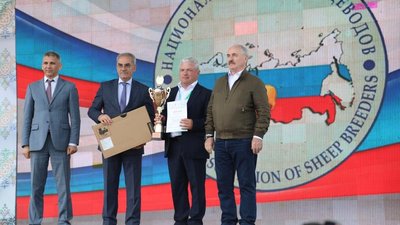 На Российской выставке племенных животных овцы романовской породы из Ивановской области удостоены золотых наград