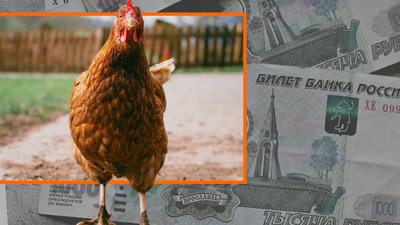 В Кузбассе самая низкая цена на мясо кур и картофель в СФО