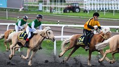 На Казанском ипподроме определены победители конных скачек и международного чемпионата жокеев в рамках KazanForum 2026