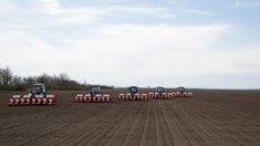 В этом году яровой сев в Татарстане составит 1,7 млн га