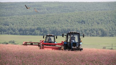 Сельхозкооперативы Красноярского края получили на технику и оборудование более 126 млн господдержки