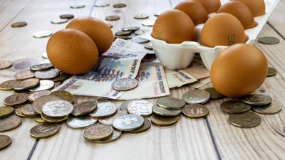 Для российских производителей яиц планируют расширить льготное кредитование 